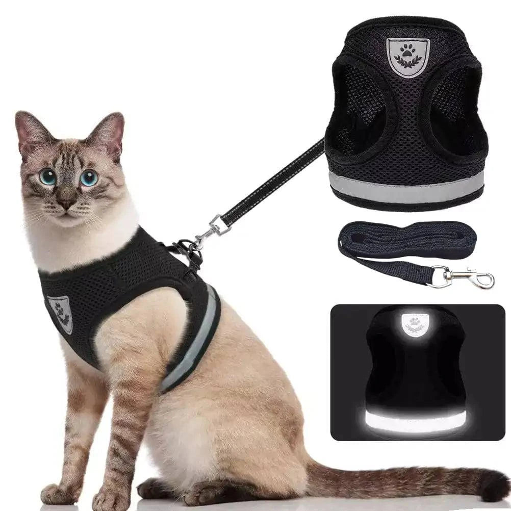Harnais et Laisse CozyCat CHAT - UNIVERS ANIMALS
