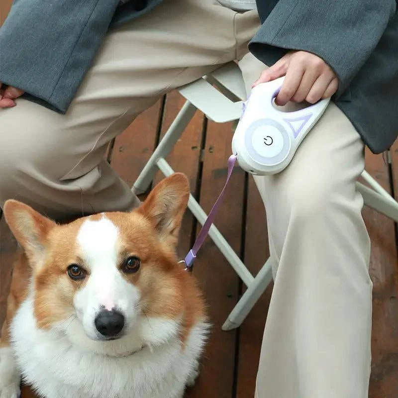 Laisse pour chien avec lumières LED - UNIVERS ANIMALS