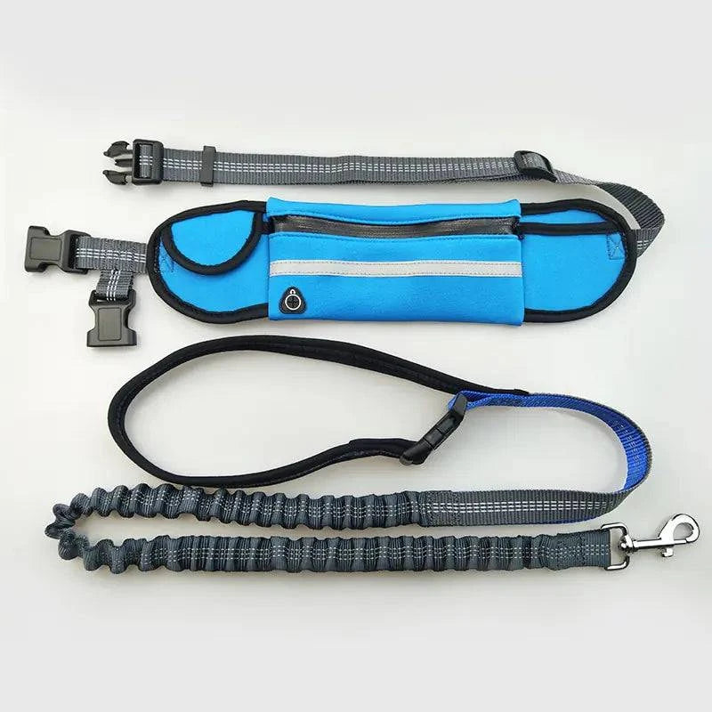 laisse élastique pour chien - UNIVERS ANIMALS