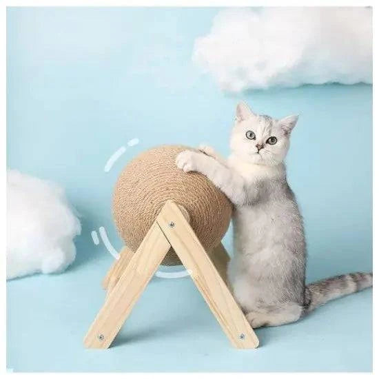 Jouets à mordiller avec corde et planche pour griffer chat - UNIVERS ANIMALS