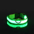 Collier Lumineux LED pour Chien - Édition Rechargeable USB - UNIVERS ANIMALS