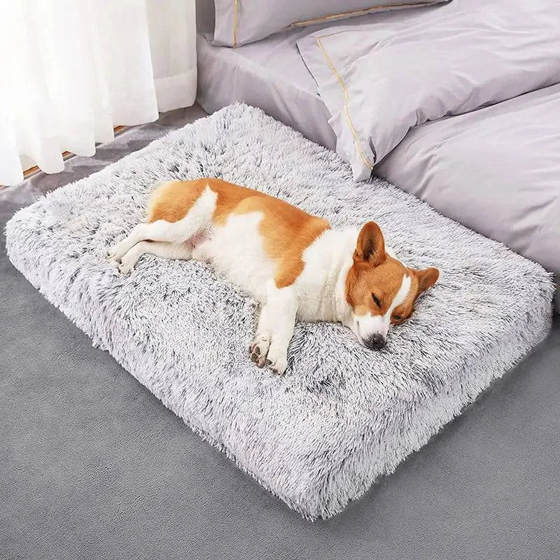 Lit pour chien en peluche lavable - UNIVERS ANIMALS