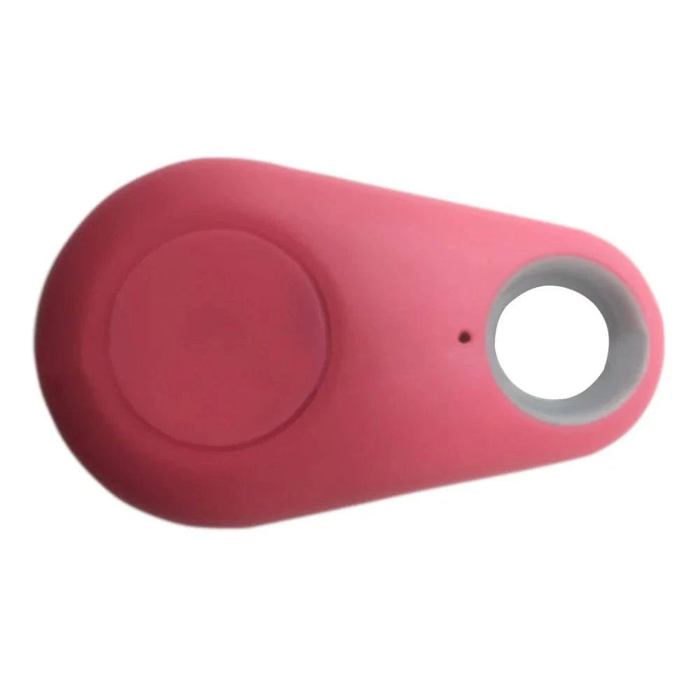 Traceur GPS et Moniteur d'Activité pour Animaux - UNIVERS ANIMALS