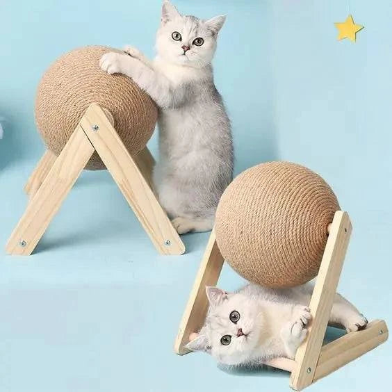 Jouets à mordiller avec corde et planche pour griffer chat - UNIVERS ANIMALS