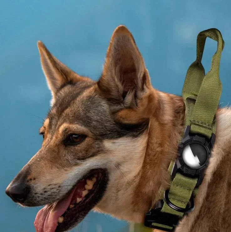 Protecteur de Tag Air pour Animaux de Compagnie - UNIVERS ANIMALS