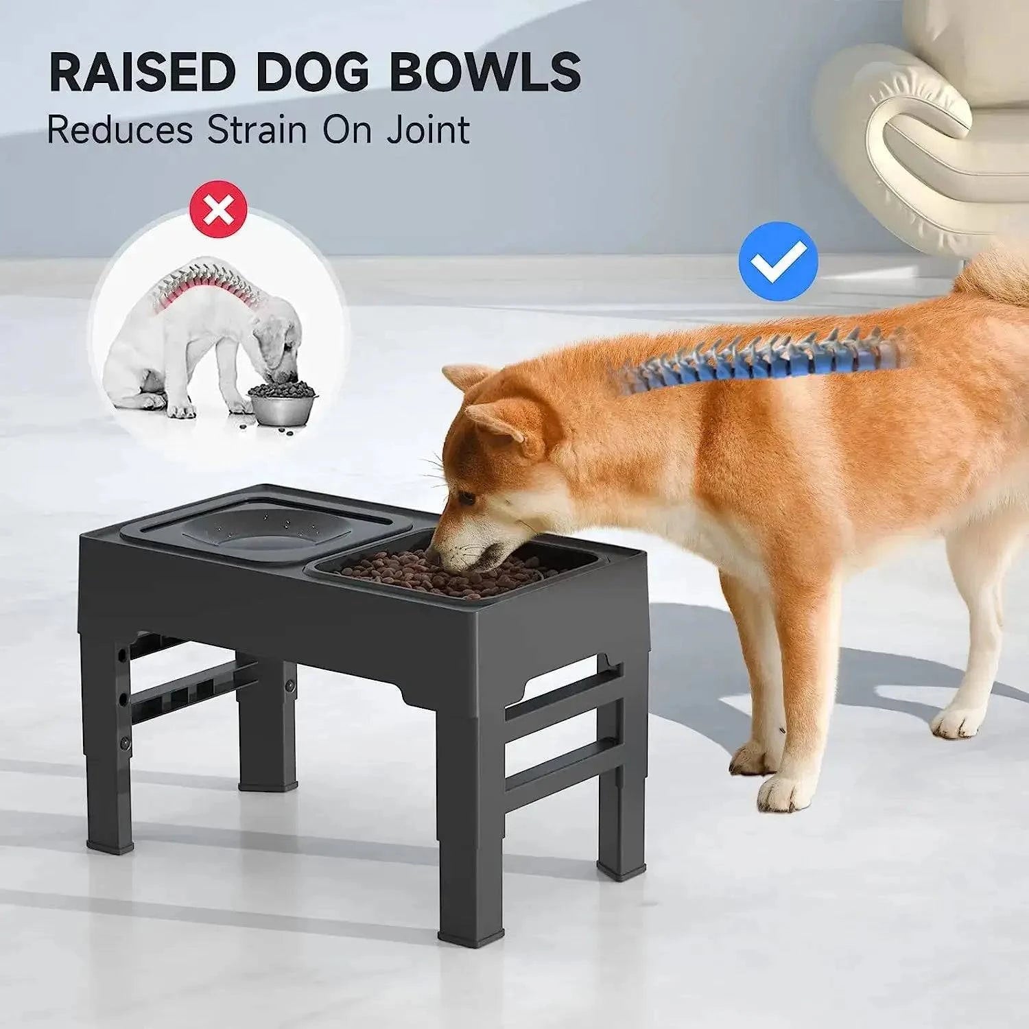 Bol Réglable pour Nourriture et Eau chien - UNIVERS ANIMALS