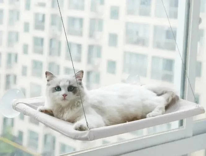 Hamac de Fenêtre pour Chat - UNIVERS ANIMALS