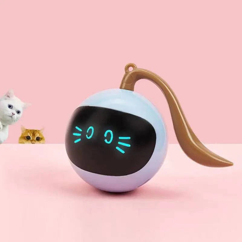 PINPON pour Chat Automatique chat - UNIVERS ANIMALS