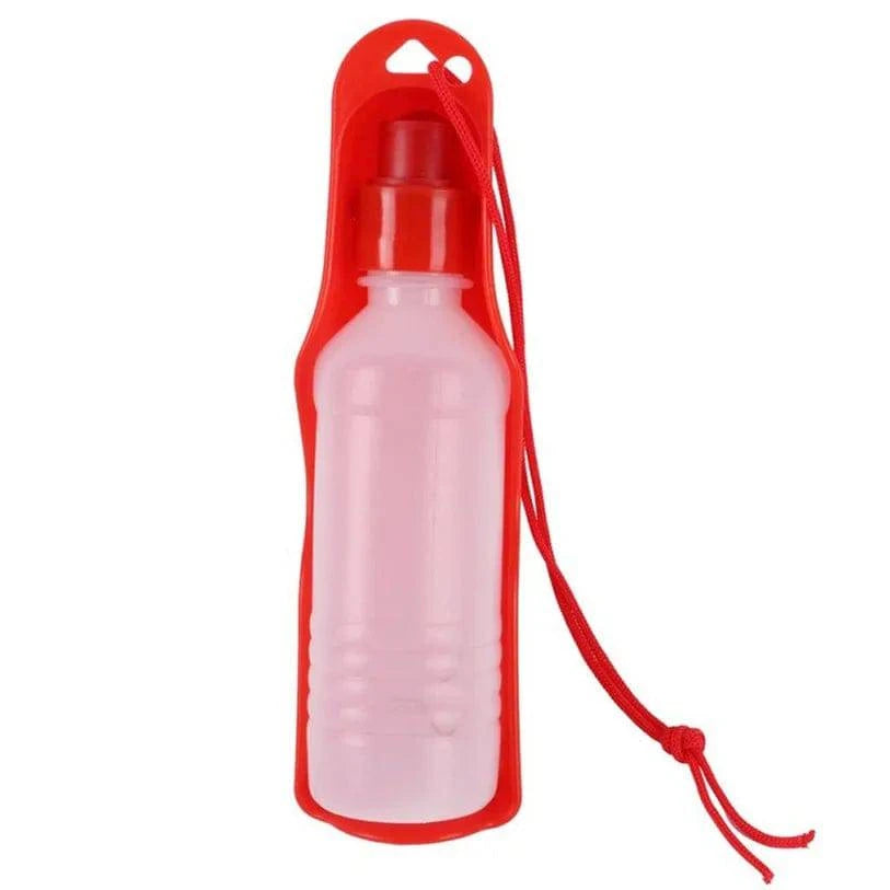 Gourde à eau pour chien avec bol intégré - UNIVERS ANIMALS