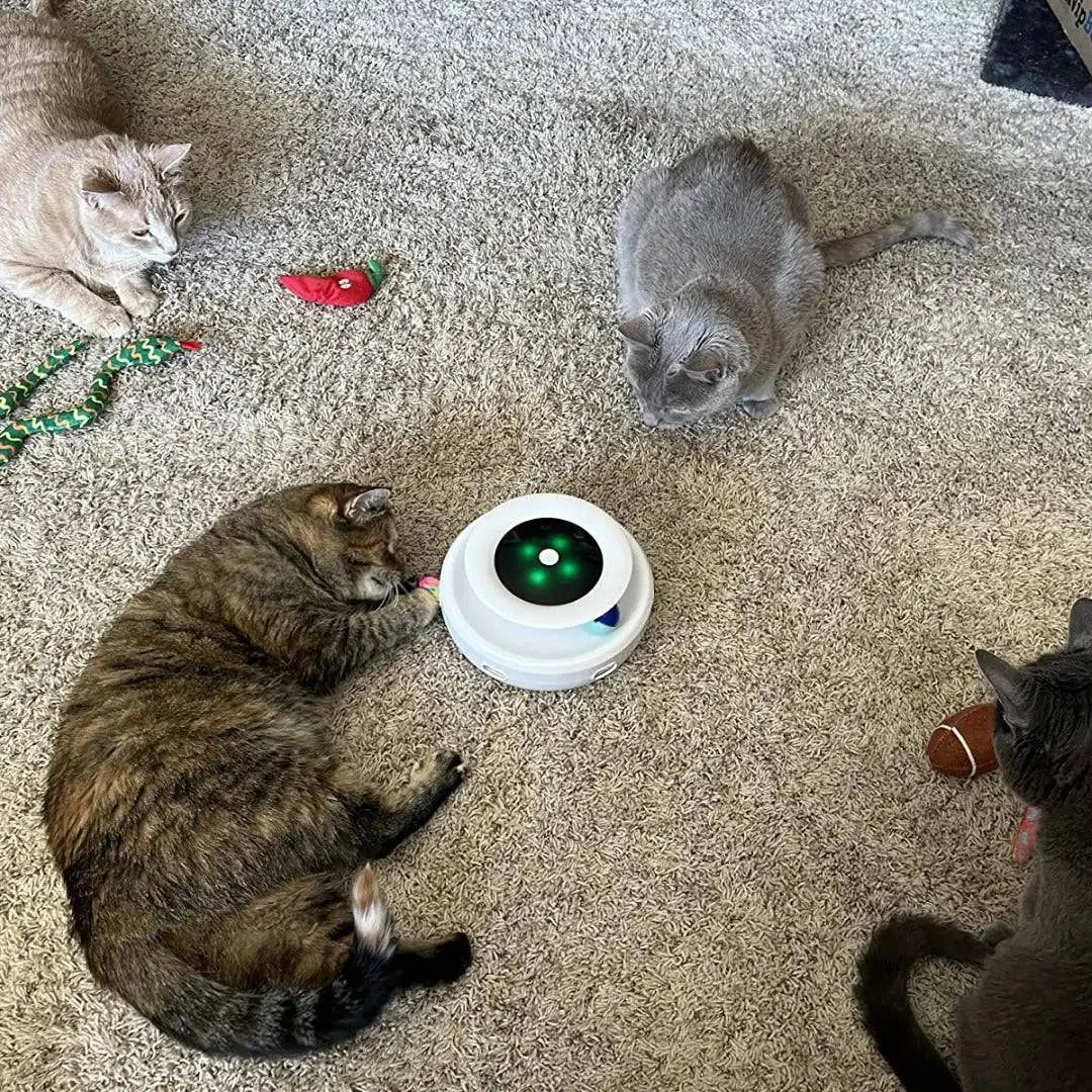 plume rotative, lumières LED Jouet interactif pour chat - UNIVERS ANIMALS