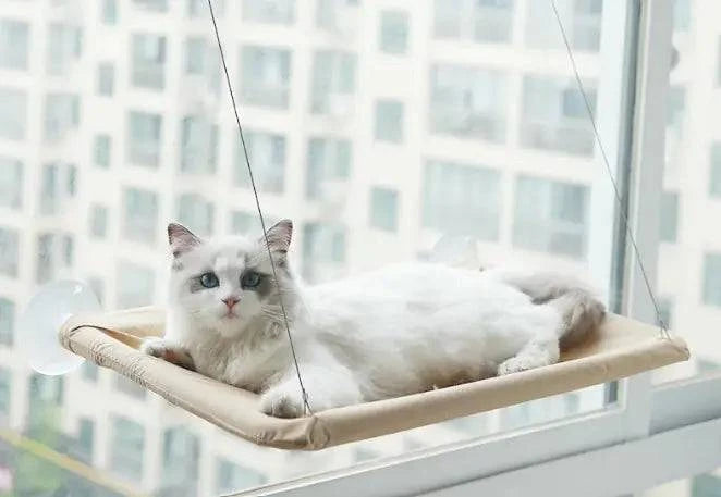 Hamac de Fenêtre pour Chat - UNIVERS ANIMALS