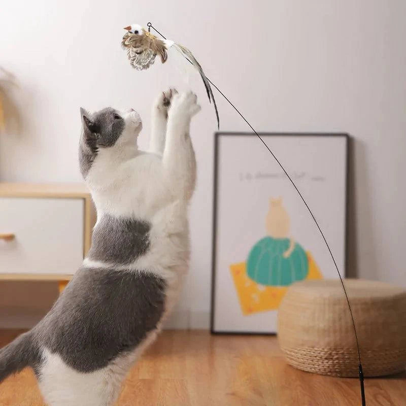 Jouets Oiseaux Interactifs pour Chats - UNIVERS ANIMALS