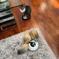 plume rotative, lumières LED Jouet interactif pour chat - UNIVERS ANIMALS