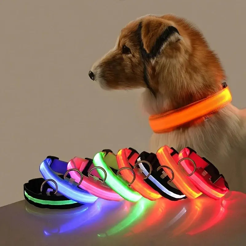 Collier Lumineux LED pour Chien - Édition Rechargeable USB - UNIVERS ANIMALS