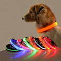 Collier Lumineux LED pour Chien - Édition Rechargeable USB - UNIVERS ANIMALS