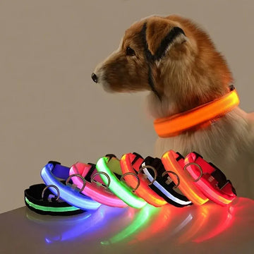 Collier Lumineux LED pour Chien - Édition Rechargeable USB - UNIVERS ANIMALS