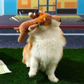 Jouet Interactif Nettoyeur de Dents pour Chiens - UNIVERS ANIMALS