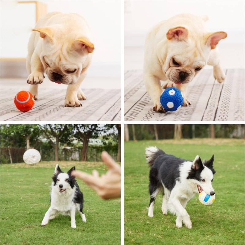 Jouets pour chiens qui couinent - UNIVERS ANIMALS