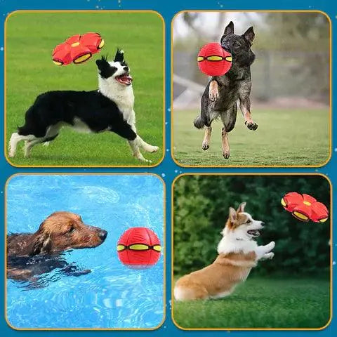 Balle Rebondissante Magique UFO à Déformation pour chien - UNIVERS ANIMALS