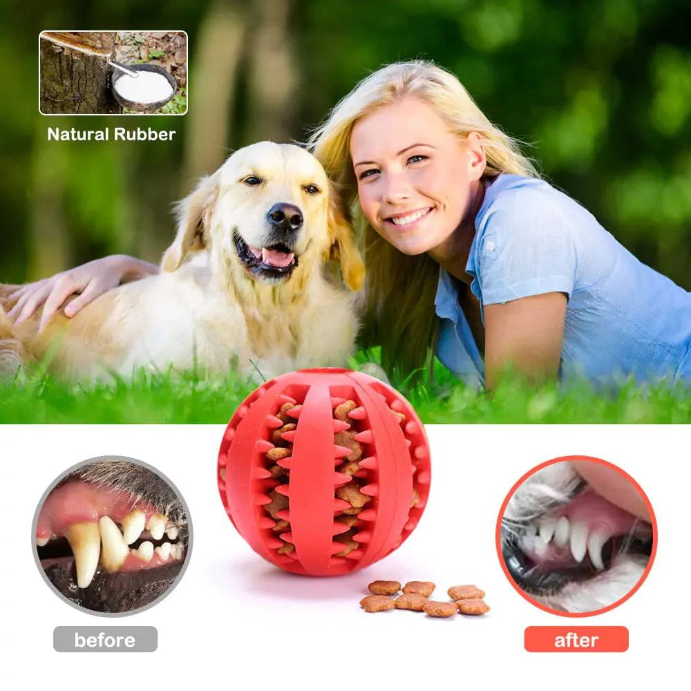 Balles en Caoutchouc pour Jouets char - UNIVERS ANIMALS