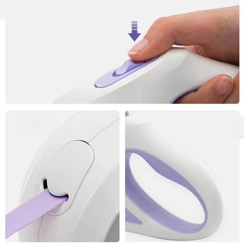 Laisse pour chien avec lumières LED - UNIVERS ANIMALS