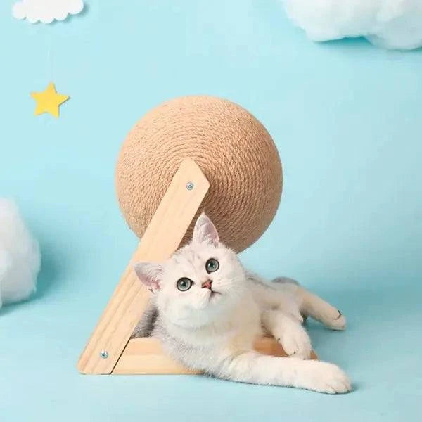 Jouets à mordiller avec corde et planche pour griffer chat - UNIVERS ANIMALS