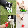 Jouets pour chiens qui couinent - UNIVERS ANIMALS