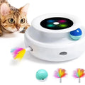 plume rotative, lumières LED Jouet interactif pour chat - UNIVERS ANIMALS