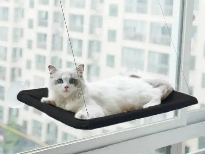 Hamac de Fenêtre pour Chat - UNIVERS ANIMALS