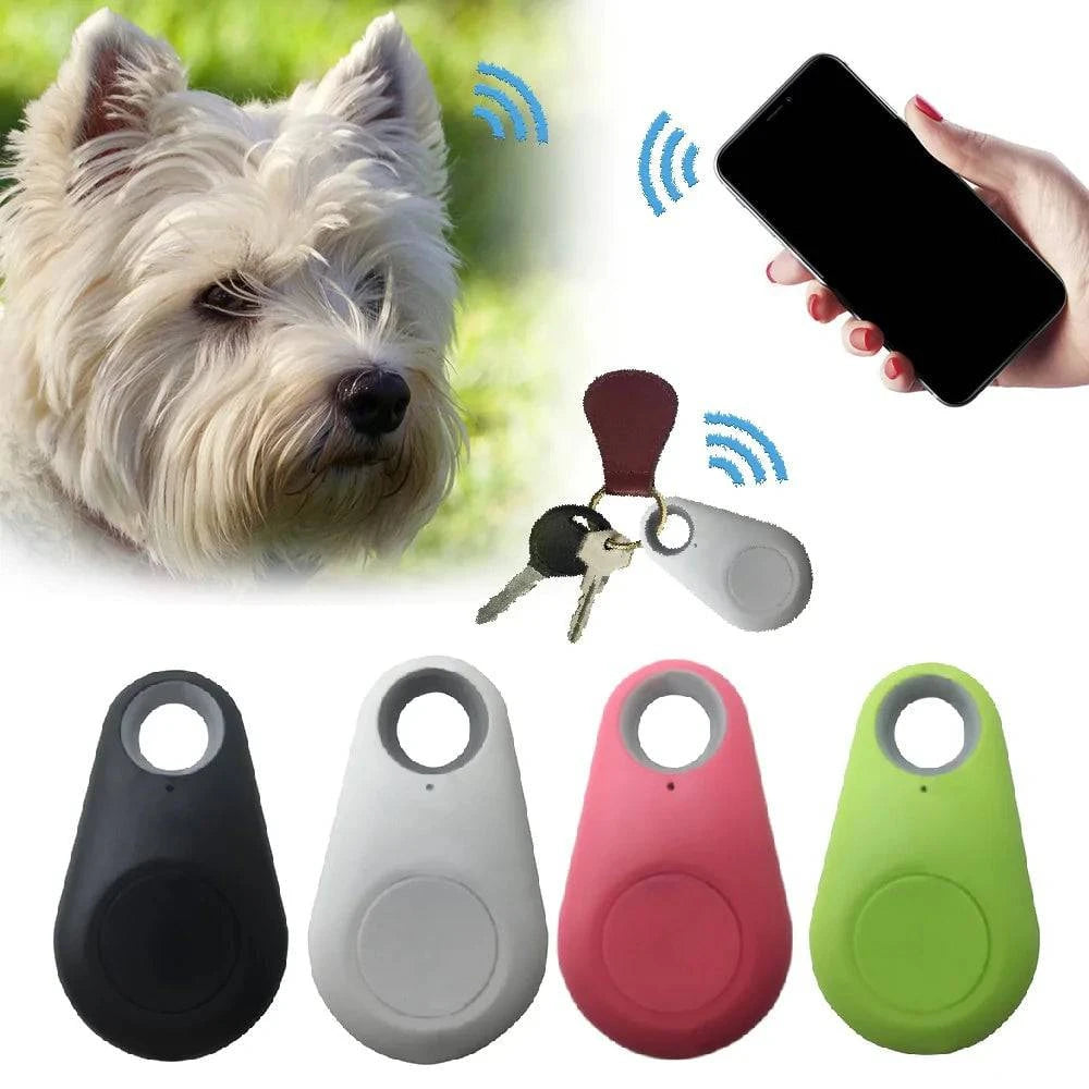 Traceur GPS et Moniteur d'Activité pour Animaux - UNIVERS ANIMALS