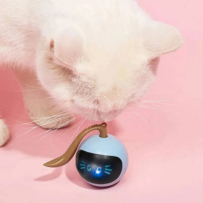 PINPON pour Chat Automatique chat - UNIVERS ANIMALS
