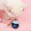 PINPON pour Chat Automatique chat - UNIVERS ANIMALS