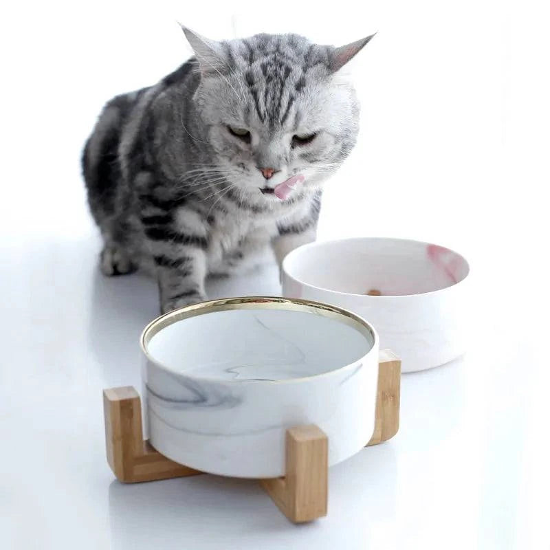 Bol Double en Céramique Marbrée pour Animaux de Compagnie - UNIVERS ANIMALS