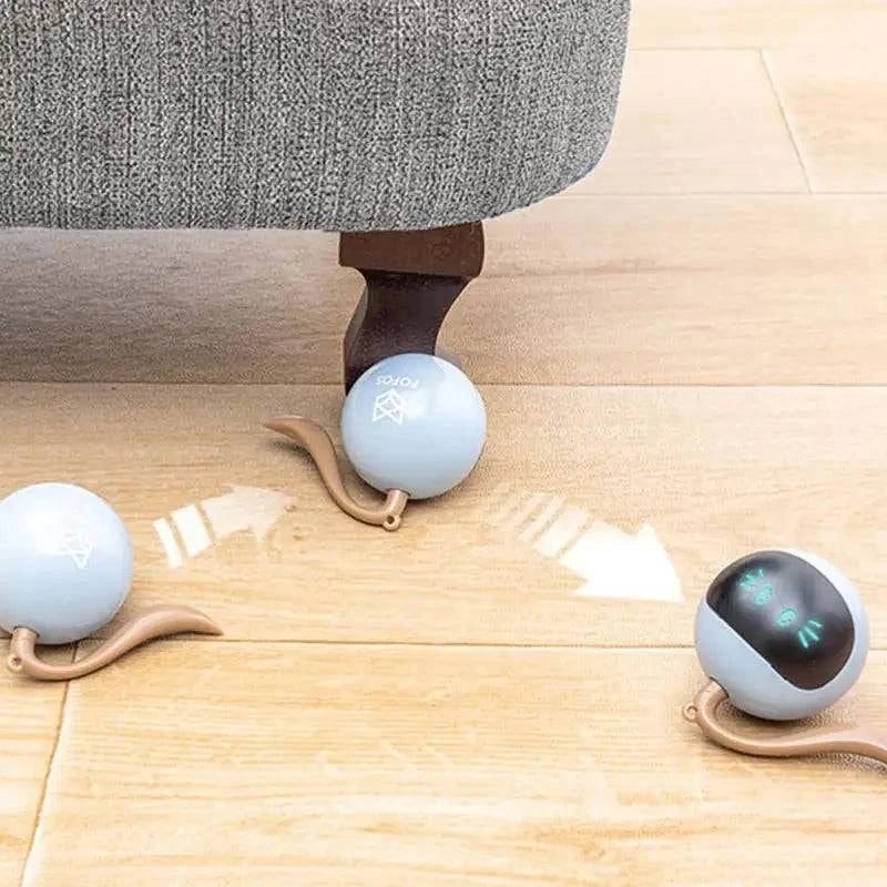 PINPON pour Chat Automatique chat - UNIVERS ANIMALS